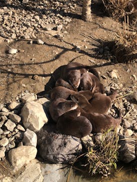 神戸どうぶつ王国に投稿された画像（2024/1/14）