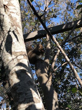 神戸どうぶつ王国に投稿された画像（2024/1/14）