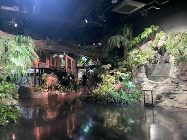 DMMかりゆし水族館に投稿された画像（2024/1/14）