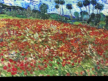 ゴッホ・アライブに投稿された画像（2024/1/14）