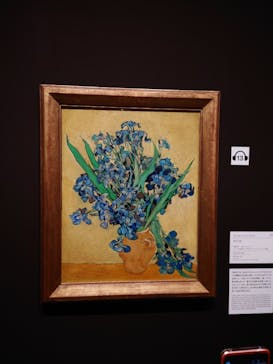ゴッホと静物画　伝統から革新へ（SＯＭＰＯ美術館）に投稿された画像（2024/1/14）