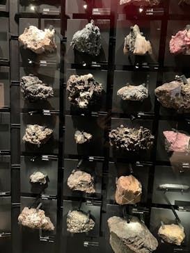 国立科学博物館に投稿された画像（2024/1/14）