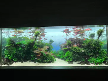 すみだ水族館に投稿された画像（2024/1/14）