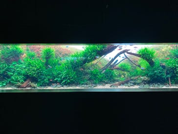 AOAO SAPPOROに投稿された画像（2024/1/14）