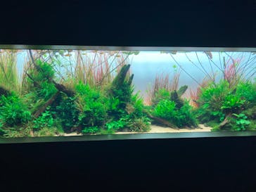 AOAO SAPPOROに投稿された画像（2024/1/14）