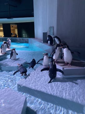 AOAO SAPPOROに投稿された画像（2024/1/14）