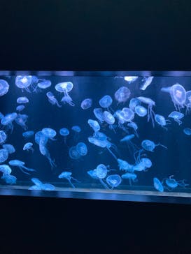 AOAO SAPPOROに投稿された画像（2024/1/14）