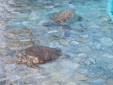 沖縄美ら海水族館に投稿された画像（2024/1/14）