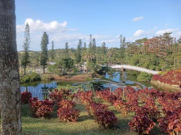 美らヤシパークオキナワ・東南植物楽園に投稿された画像（2024/1/14）