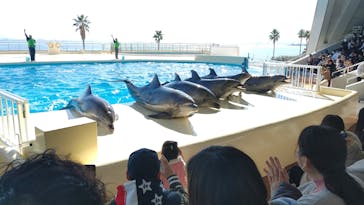マリンワールド海の中道に投稿された画像（2024/1/14）