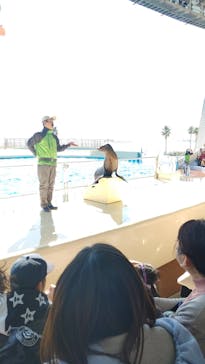 マリンワールド海の中道に投稿された画像（2024/1/14）