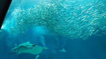 マリンワールド海の中道に投稿された画像（2024/1/14）