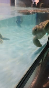 マリンワールド海の中道に投稿された画像（2024/1/14）