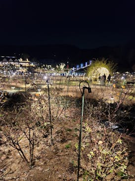 いばらきフラワーパークに投稿された画像（2024/1/14）