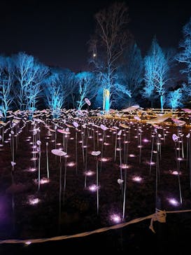 いばらきフラワーパークに投稿された画像（2024/1/14）