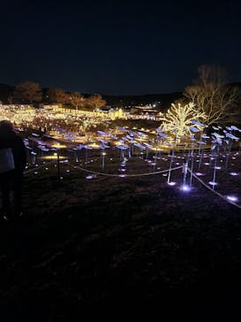 いばらきフラワーパークに投稿された画像（2024/1/14）