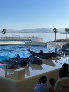 マリンワールド海の中道に投稿された画像（2024/1/14）