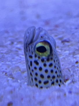 マリンワールド海の中道に投稿された画像（2024/1/14）