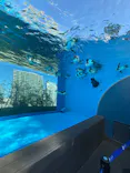 サンシャイン水族館に投稿された画像（2024/1/14）