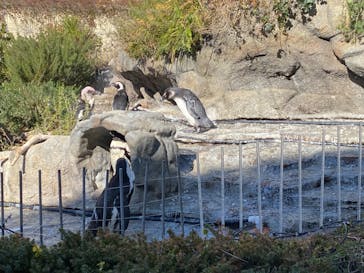 サンシャイン水族館に投稿された画像（2024/1/14）