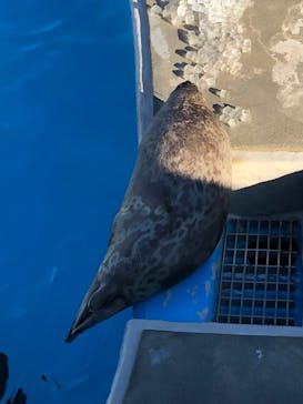 鴨川シーワールドに投稿された画像（2024/1/14）