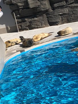 鴨川シーワールドに投稿された画像（2024/1/14）