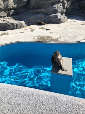 鴨川シーワールドに投稿された画像（2024/1/14）