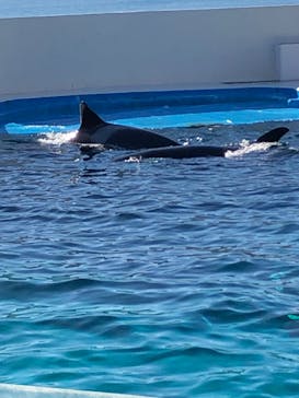 鴨川シーワールドに投稿された画像（2024/1/14）