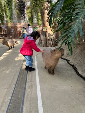神戸どうぶつ王国に投稿された画像（2024/1/14）
