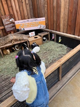 神戸どうぶつ王国に投稿された画像（2024/1/14）