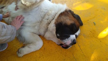 つくばわんわんランドに投稿された画像（2024/1/14）