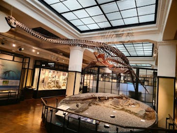国立科学博物館に投稿された画像（2024/1/14）