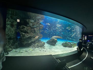 サンシャイン水族館に投稿された画像（2024/1/14）