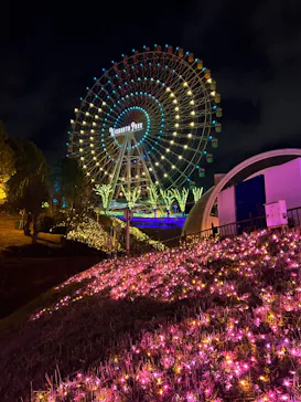 ひらかたパークに投稿された画像（2024/1/14）