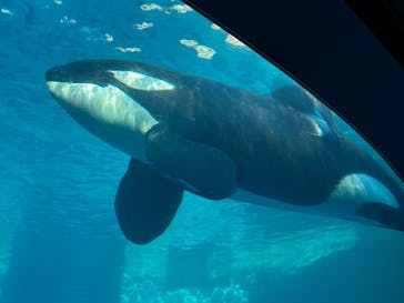 名古屋港水族館に投稿された画像（2024/1/14）