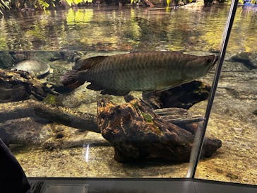 名古屋港水族館に投稿された画像（2024/1/14）