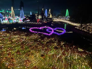 美らヤシパークオキナワ・東南植物楽園に投稿された画像（2024/1/14）