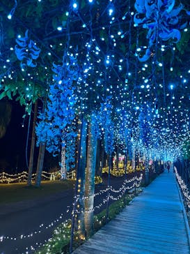 美らヤシパークオキナワ・東南植物楽園に投稿された画像（2024/1/14）