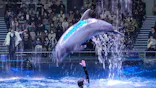 マクセル アクアパーク品川に投稿された画像（2024/1/14）