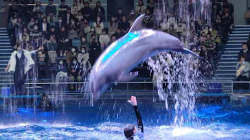 マクセル アクアパーク品川に投稿された画像（2024/1/14）