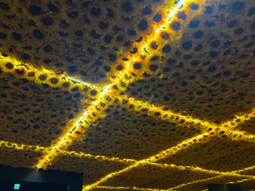 ゴッホ・アライブに投稿された画像（2024/1/14）