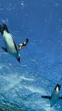 サンシャイン水族館に投稿された画像（2024/1/14）