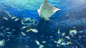 サンシャイン水族館に投稿された画像（2024/1/14）