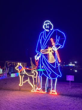 鹿児島イルミナージュに投稿された画像（2024/1/14）