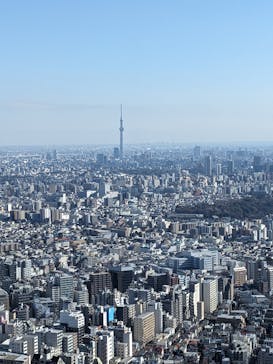 サンシャイン60展望台に投稿された画像（2024/1/14）