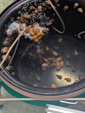 アクアマリンふくしまに投稿された画像（2024/1/14）