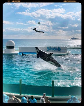 鴨川シーワールドに投稿された画像（2024/1/15）