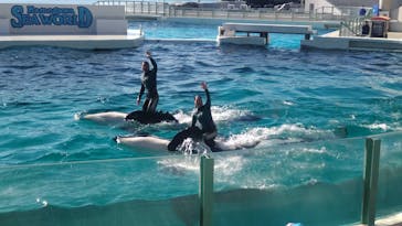 鴨川シーワールドに投稿された画像（2024/1/15）