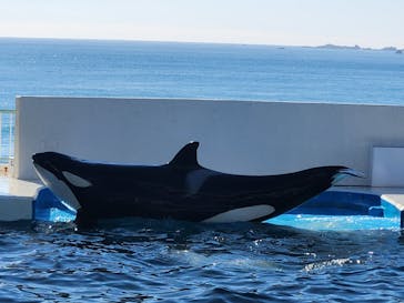 鴨川シーワールドに投稿された画像（2024/1/15）