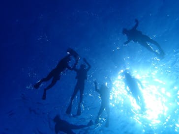 石垣島 ADVENTURE PiPi（イシガキジマアドベンチャーピピ）に投稿された画像（2024/1/15）